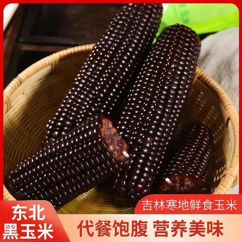 【老金专属】黑玉米240克到270g拍8送2共10支东北黑糯玉米拉丝玉米