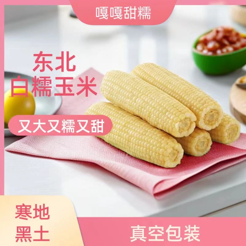 东北白糯玉米香甜软糯250克-320克/棒大白糯玉米