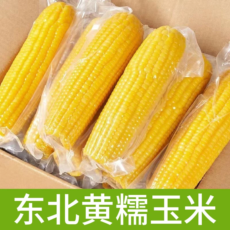 【拍之前问主播】东北新鲜现摘粘糯玉米拉丝黄糯玉米拍10支*250g