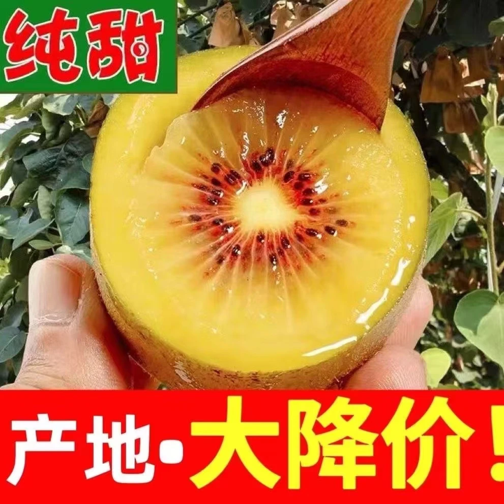 【直播专享】优质果王现摘红心猕猴桃猕猴桃孕妇水果批发 奇异果