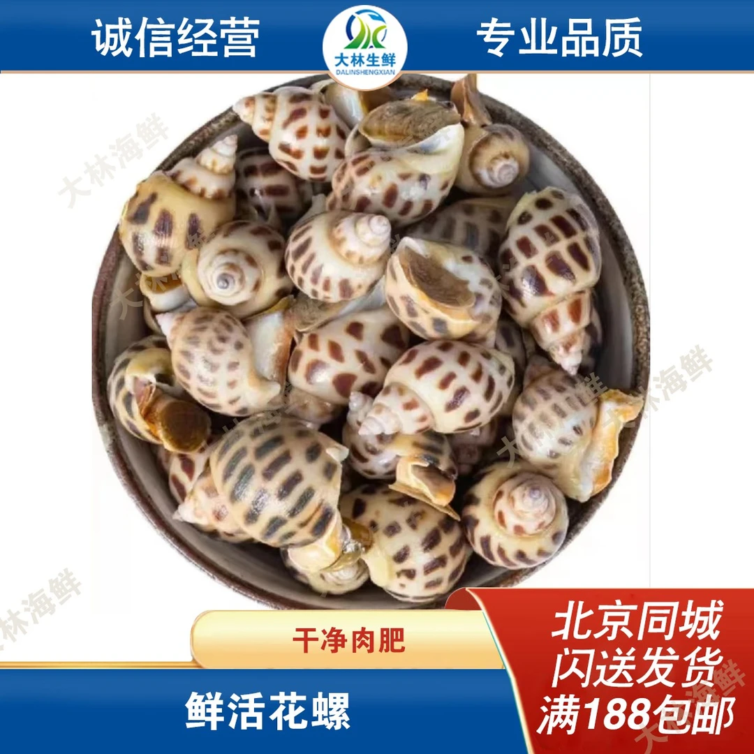 鲜活大花螺500g/份