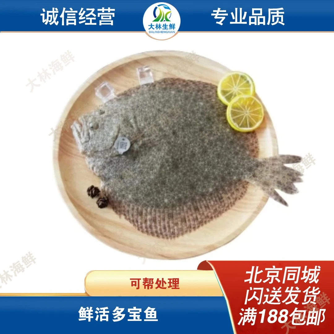 鲜活多宝鱼 比目鱼1.5-1.7斤/条 默认宰杀，不宰杀请备注