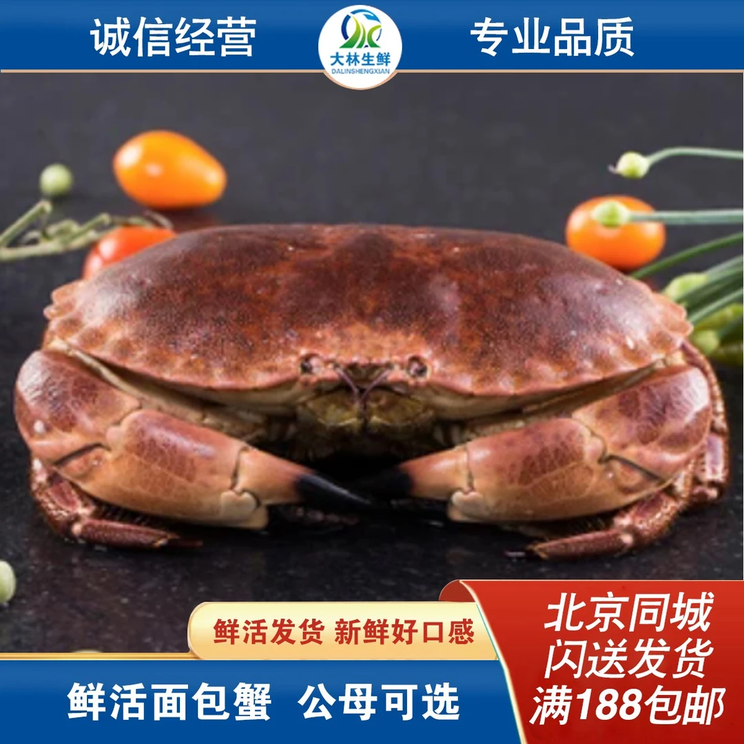 生猛海鲜类进口鲜活面包蟹螃蟹1.2-1.5斤蟹同城配送