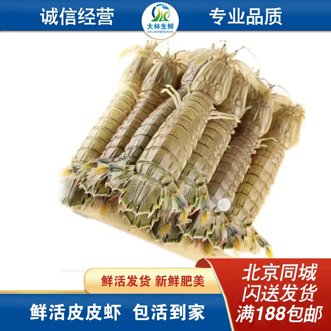 【特惠】当天缺氧牺牲皮皮虾公母随机  20-25条/斤（4斤/份）极个别或有空壳属，介意勿拍