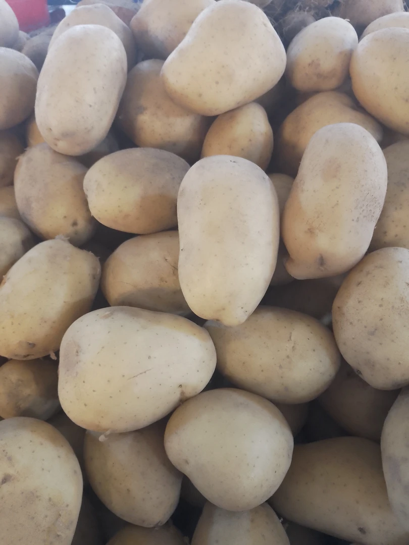 黄心土豆约500g土豆同城配