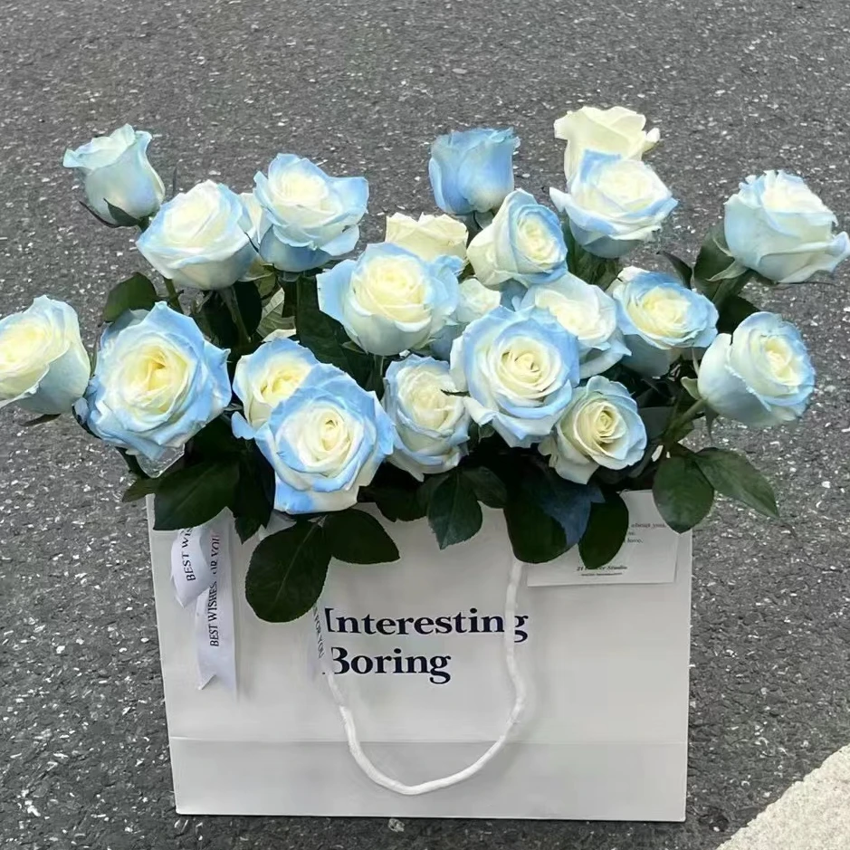 20枝【碎冰蓝】 单头玫瑰 室内水养花 云南昆明基地直发