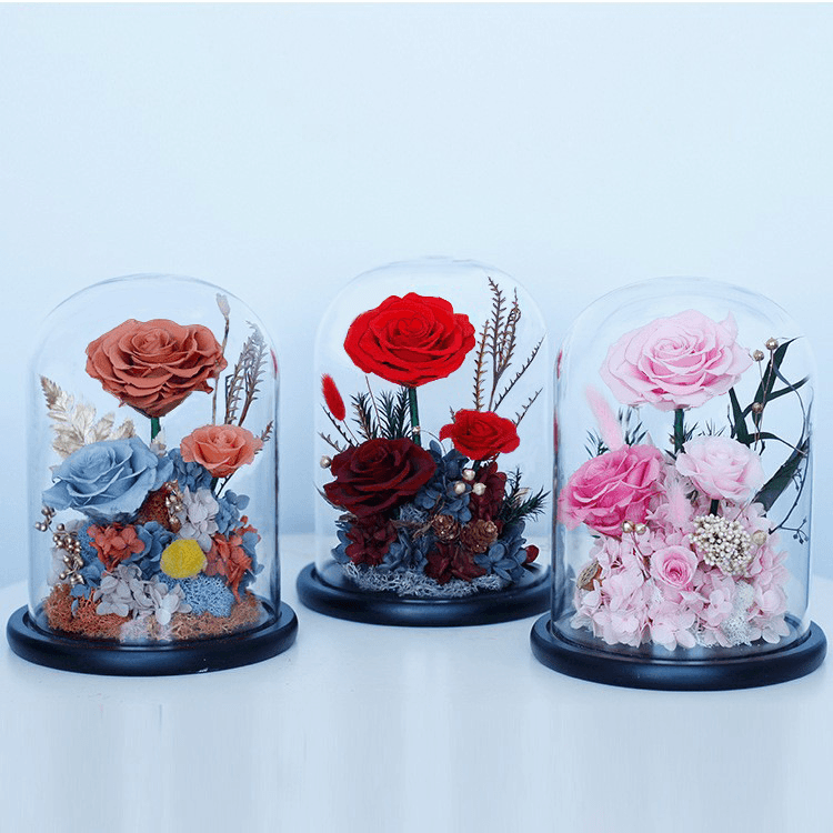 情人节礼品玫瑰花玻璃罩永生花绣球干花永生花成品母亲节礼物