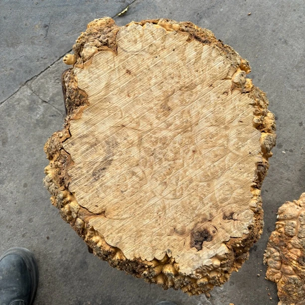 缅甸黄金樟源头一手货源茶盘毛料  工艺品料