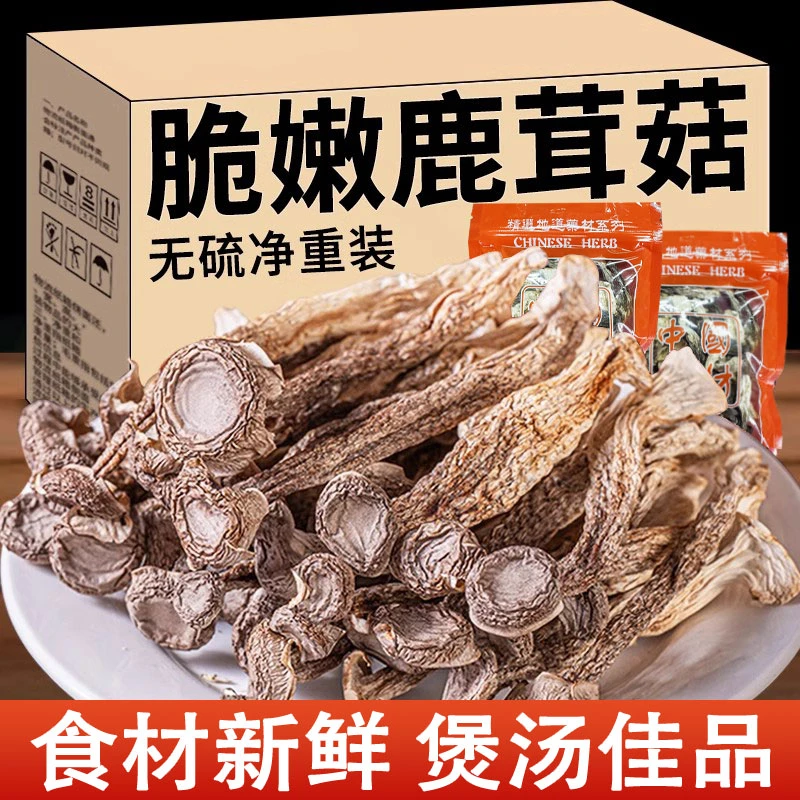 【净重发货】 鹿茸菇净重农家特产新鲜煲汤菌菇鹿茸菇干货500g包邮