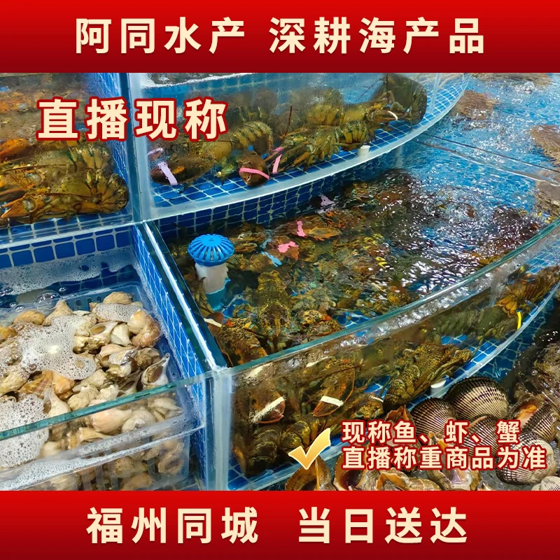 【阿同海鲜】SANYANXIE15.3号鱼虾蟹链接直播间现称全国
