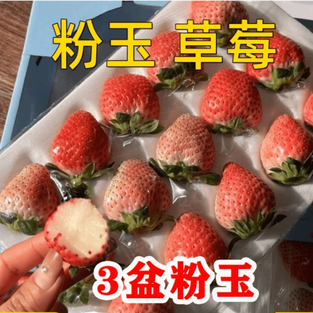 粉玉草莓盆栽（香甜可口）3盆带盆带土庭院阳台四季种植草莓秧苗