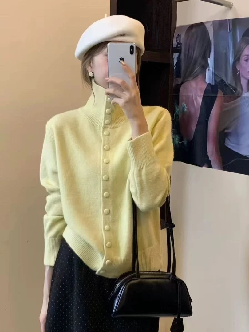 韩系立领单排扣毛衣女2024冬季新款款宽松慵懒风软糯针织开衫上衣