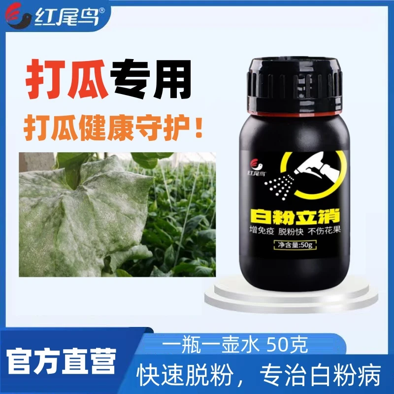 【打瓜专享】红尾鸟高效白粉病防治农肥，专业配方，让植物健康生长！