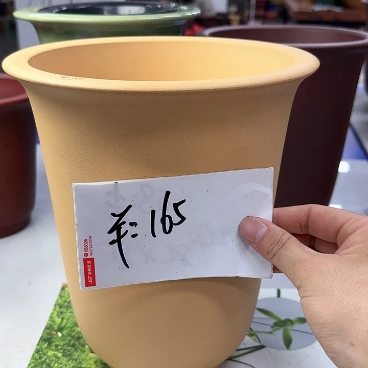 紫砂20CM（含）-50CM（不含）南*