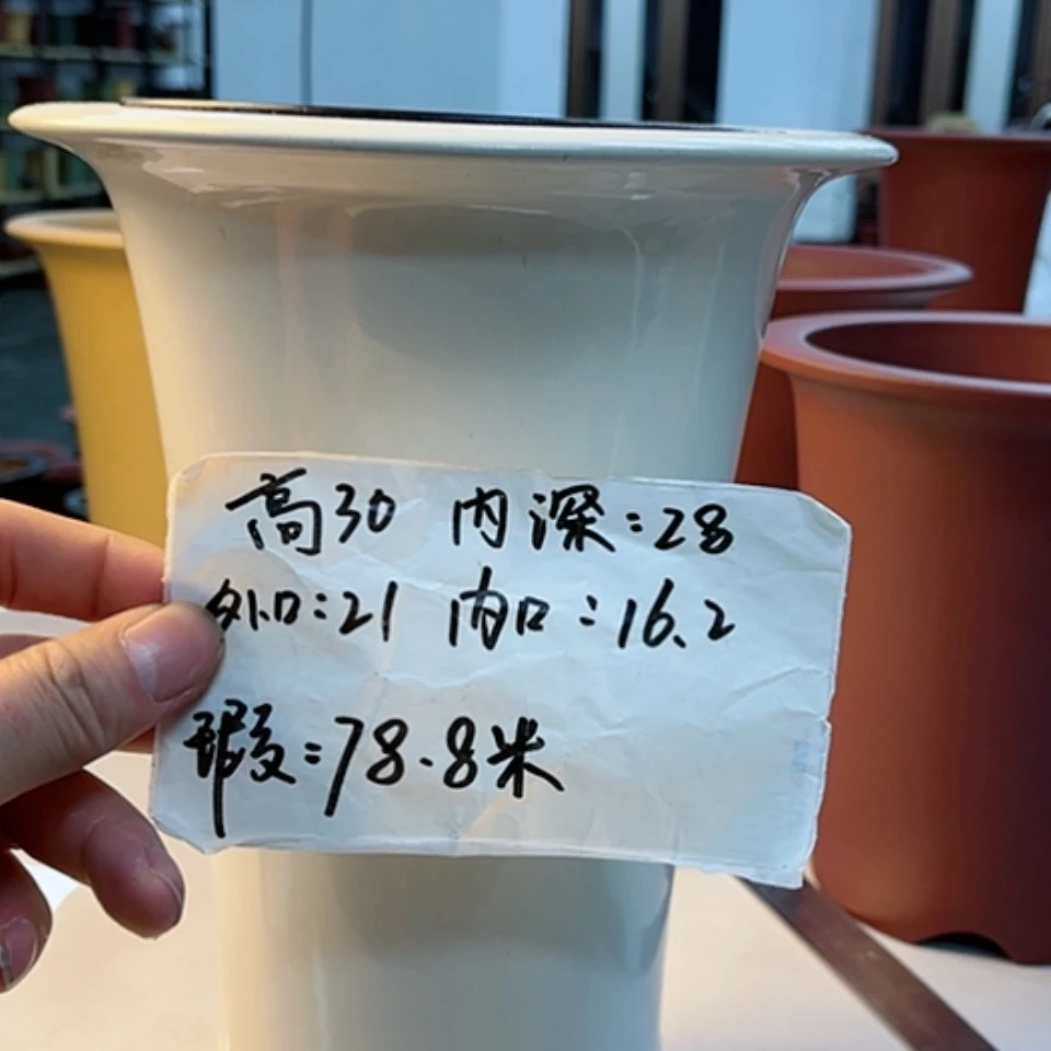 【闪购商品】红陶171cm(含)-200cm(含)