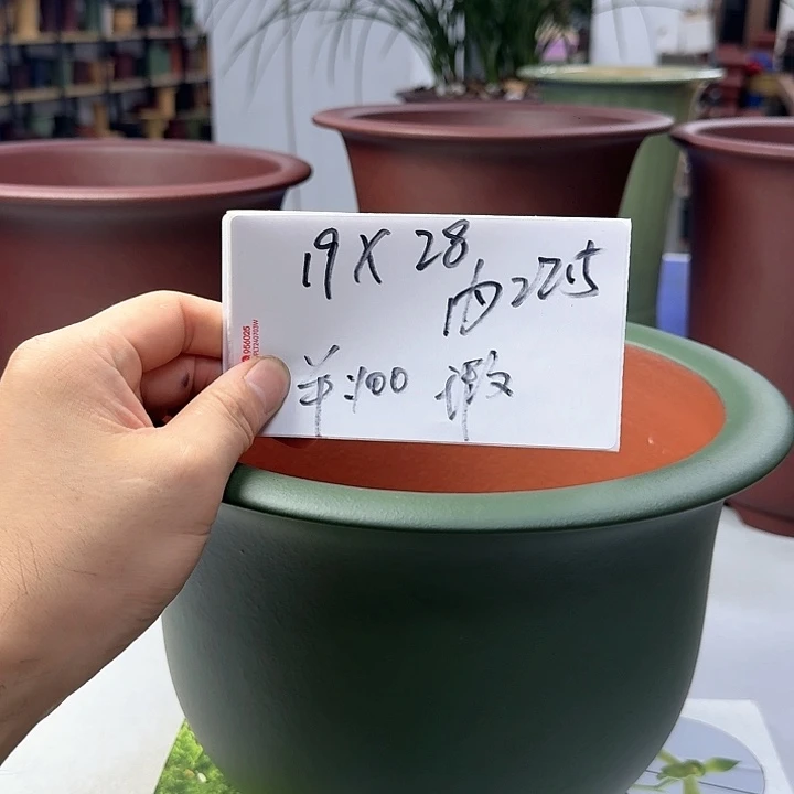 紫砂20CM（含）-50CM（不含）