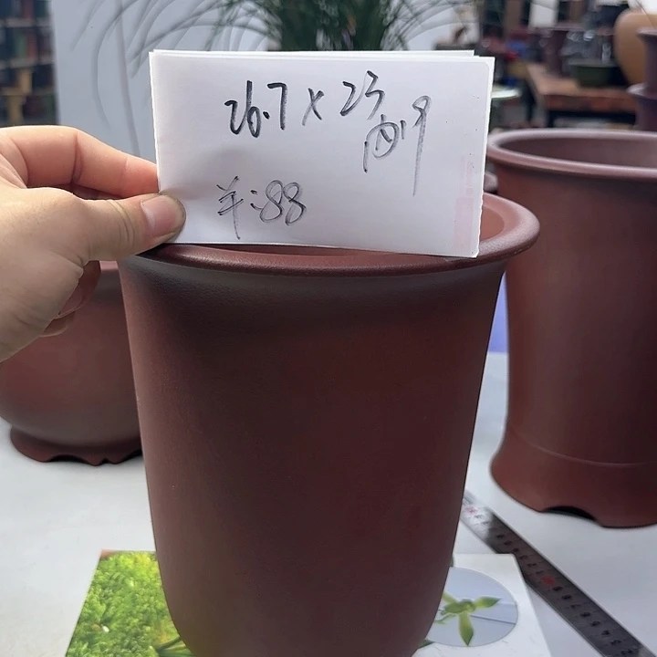紫砂20CM（含）-50CM（不含）