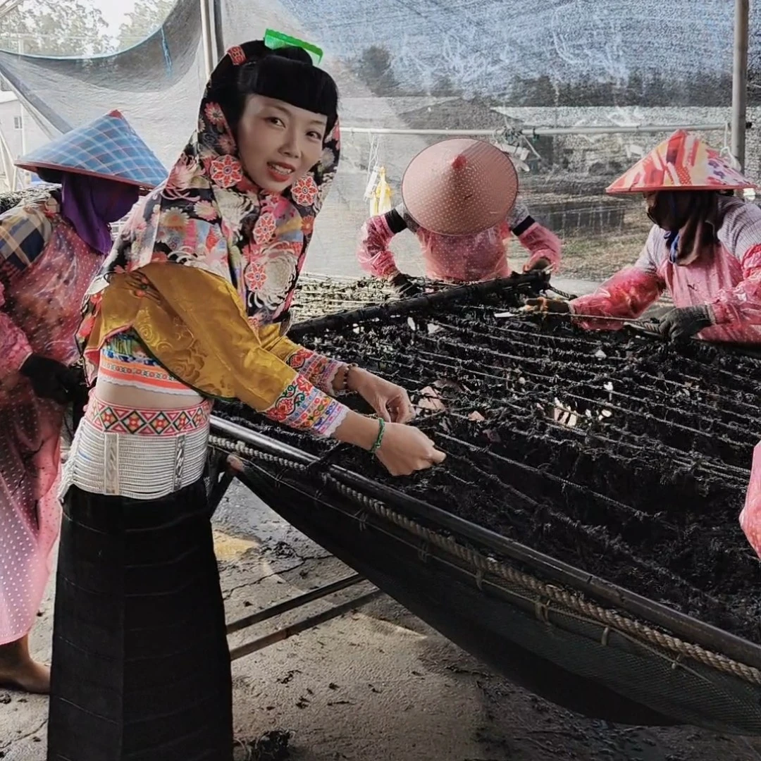 2024年东山岛 头水头紫菜 250克/500克