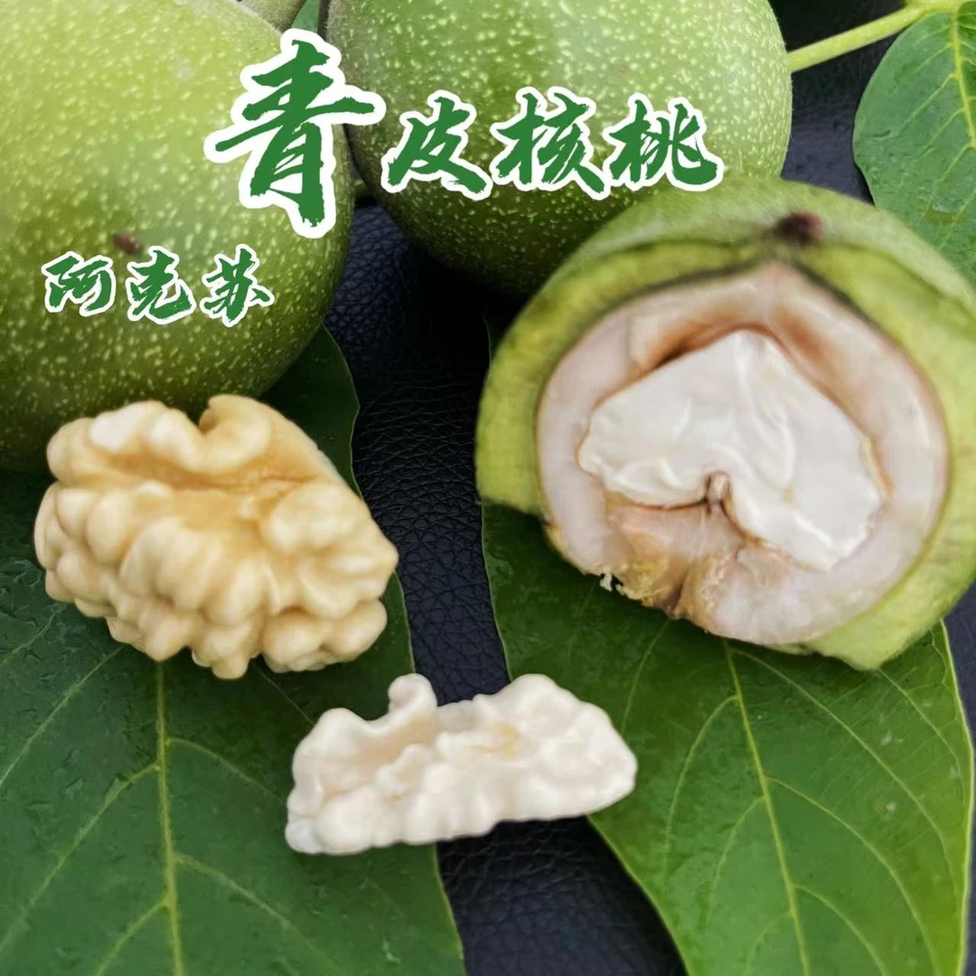 2024新疆新鲜青皮核桃新疆阿克苏185青皮新鲜湿核桃5斤