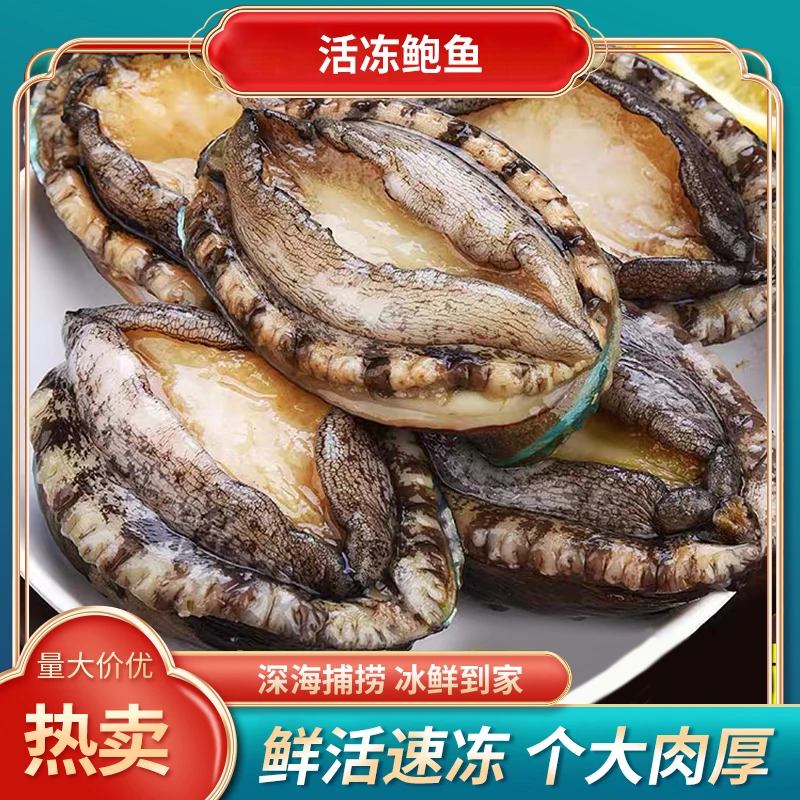 【小明正能量专属】活冻鲍鱼  个大饱满 肉厚2包 10头 500±30克