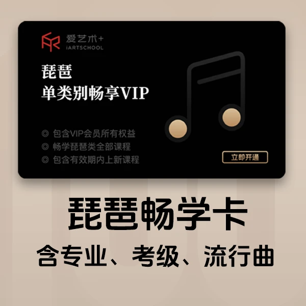【含三年点对点指导答疑】琵琶畅学卡（买一年送两年）