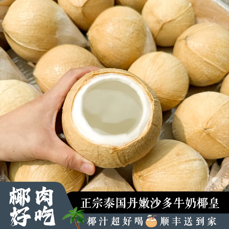 【涵叔进口】泰国丹嫩沙多椰皇椰青大果/350-550g/颗（顺丰京东）