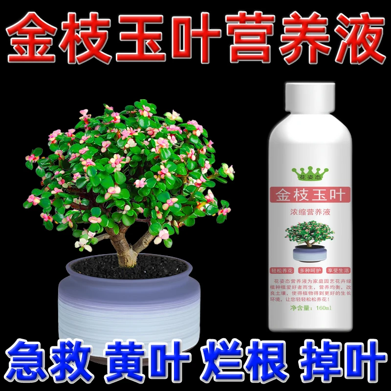 金枝玉叶专用肥料水培营养液植物通用型催花肥多肉雅乐之舞肥料