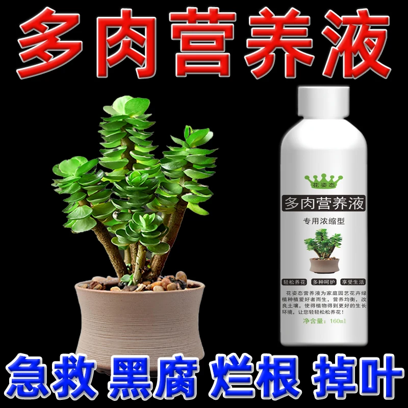 多肉营养液增色增肥促芽生根防烂根防掉叶多肉肥料专用肥爆芽素