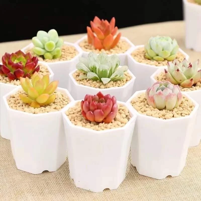 八角小白方多肉盆清仓八角白色塑料花盆客厅阳台卧室