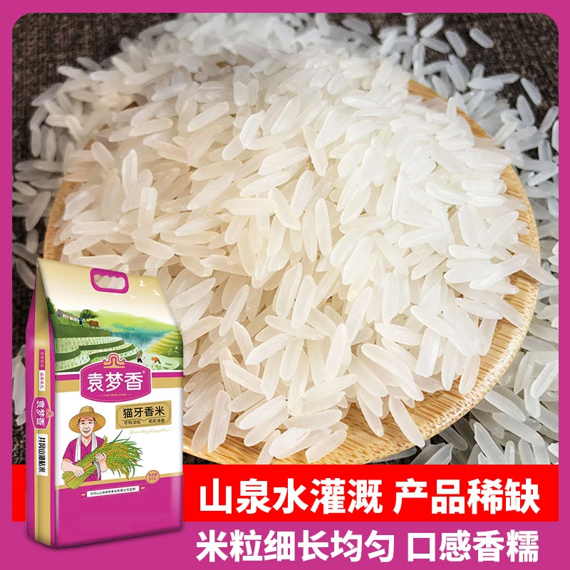 江西井冈山猫牙米山泉水灌溉长粒香大米核心产区营养真空5斤装