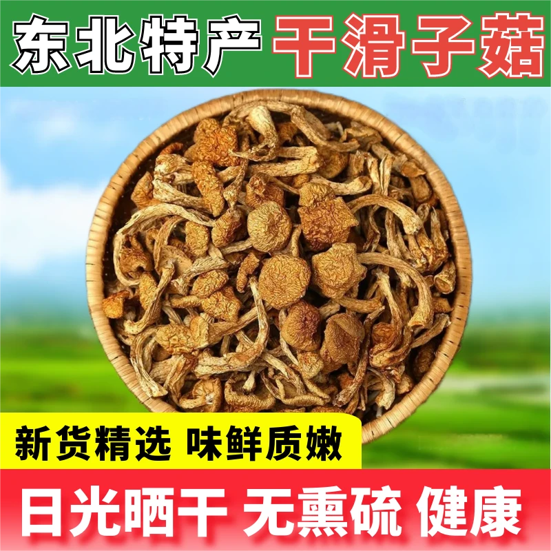 大兴安岭滑子菇干货新货小黄蘑东北小鸡炖蘑菇非榛蘑