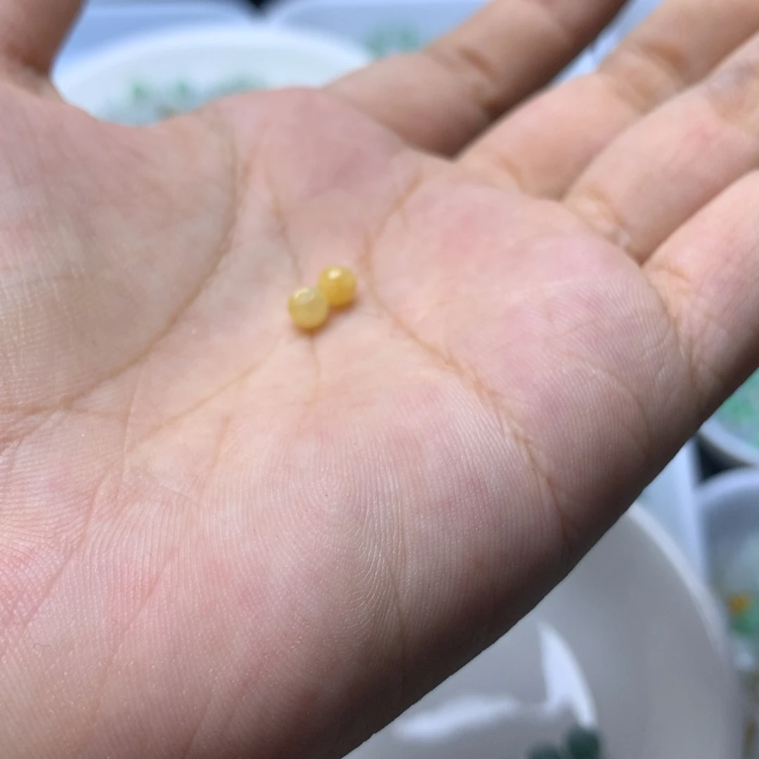【闪购商品】翡翠手链未镶嵌露*