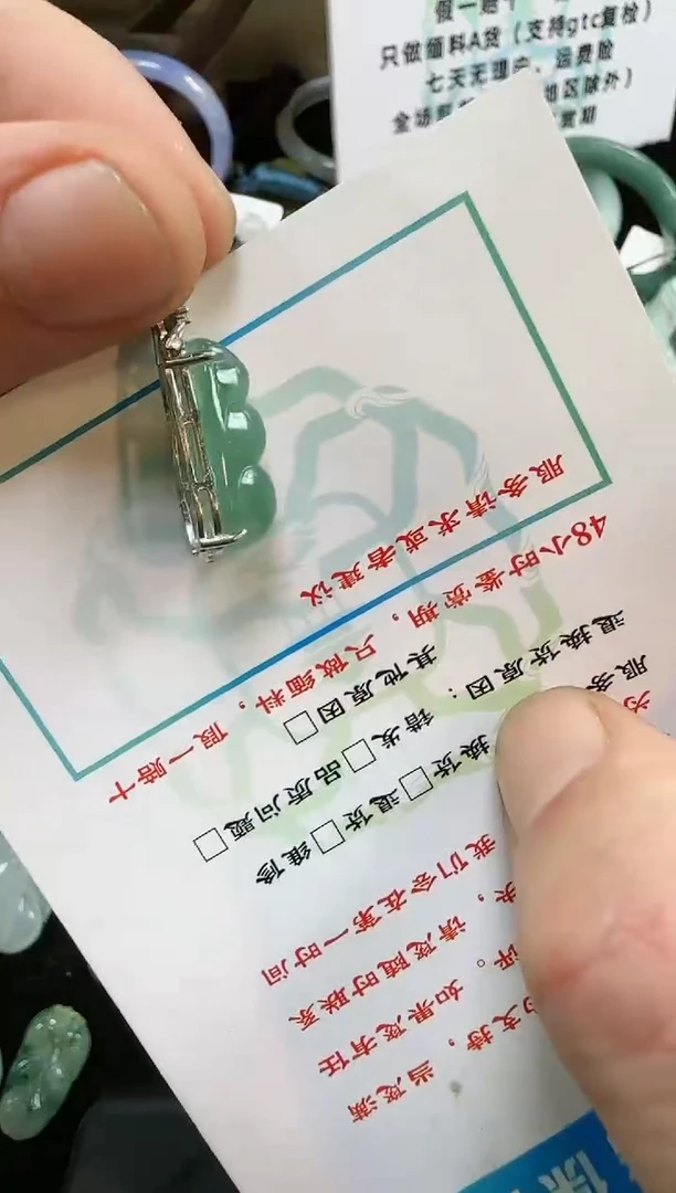 【闪购商品】翡翠颈饰未镶嵌豆子