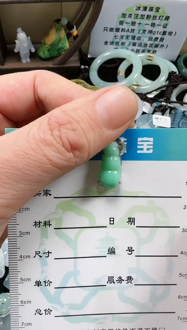 【闪购商品】翡翠颈饰未镶嵌豆子