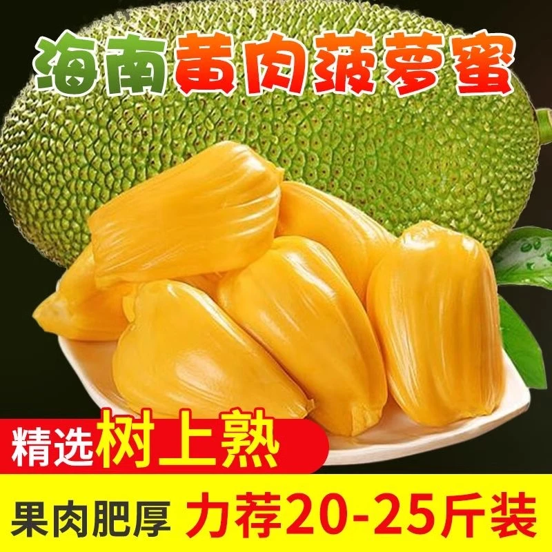 海南特产黄肉菠萝蜜新鲜水果菠萝蜜干应季脆甜干苞木菠萝密