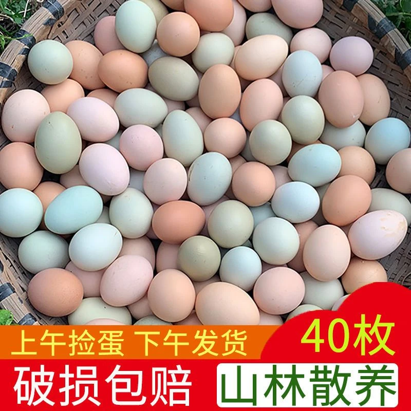 顺丰农家散养新鲜土鸡蛋农村林地笨鸡蛋柴鸡蛋草宝宝鸡蛋10-60枚