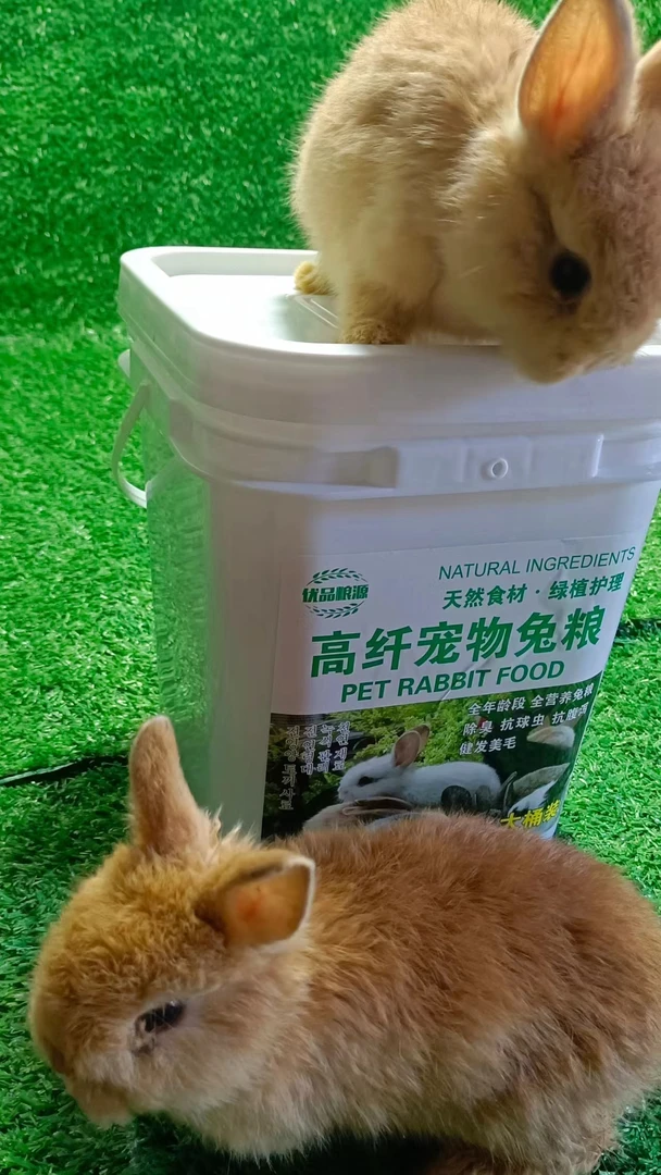 5斤全阶段高纤优质兔粮健康营养兔粮 兔子饲料 优选配方抗虫亮毛