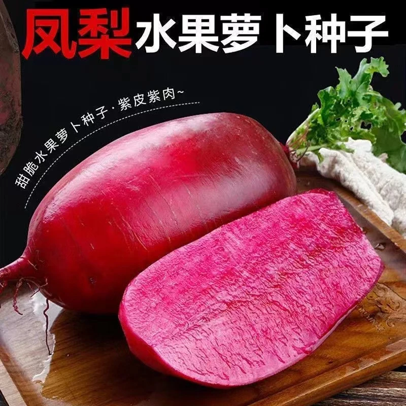 【凤梨萝卜种子】脆甜红皮红肉水果阳台花盆可种青萝卜红萝卜种子