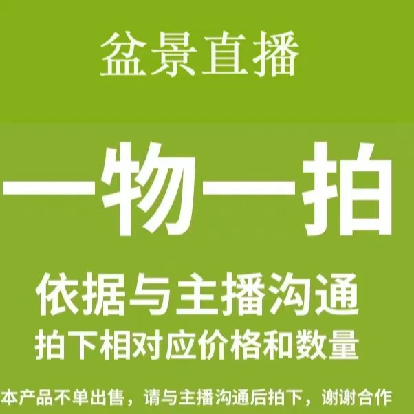 精品小微盆景直播拍品一物一拍