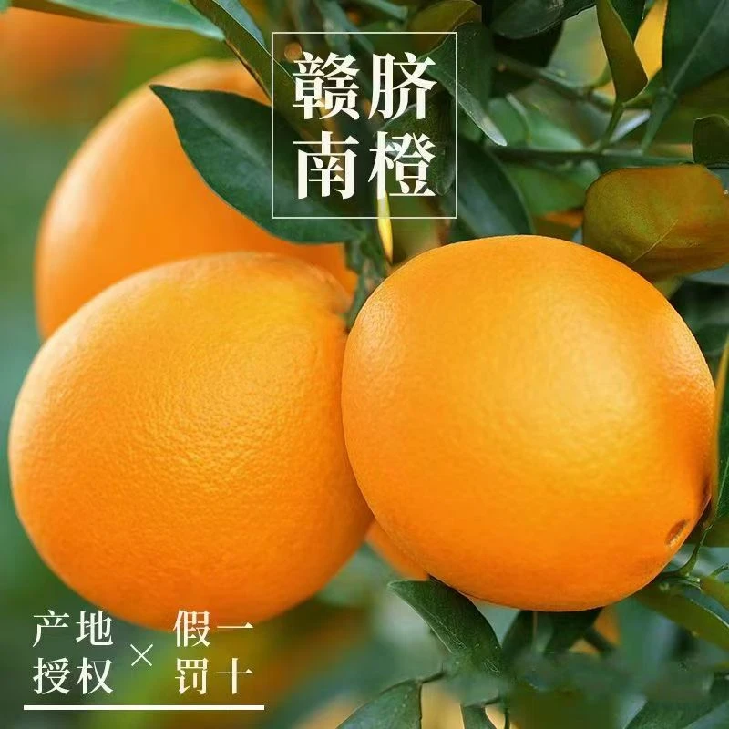 赣南脐橙现摘现发顺丰包邮到家