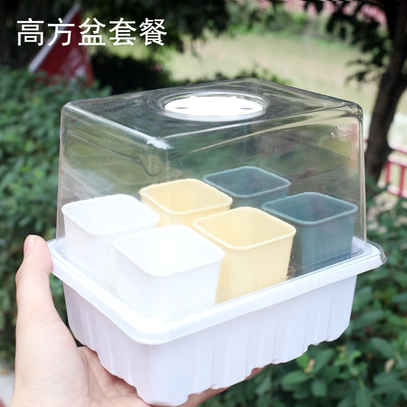 艺术秀新品育苗箱播种盒园艺多肉扦插盆植物培育栽花高方盆育苗箱