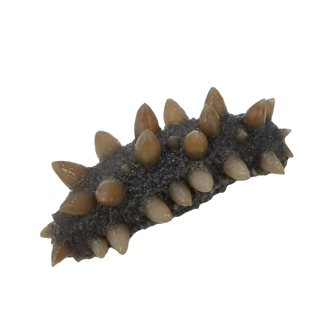 大火半干长海深水12斤以上活海参（可代加工蒸、高压）1斤（20-30头）