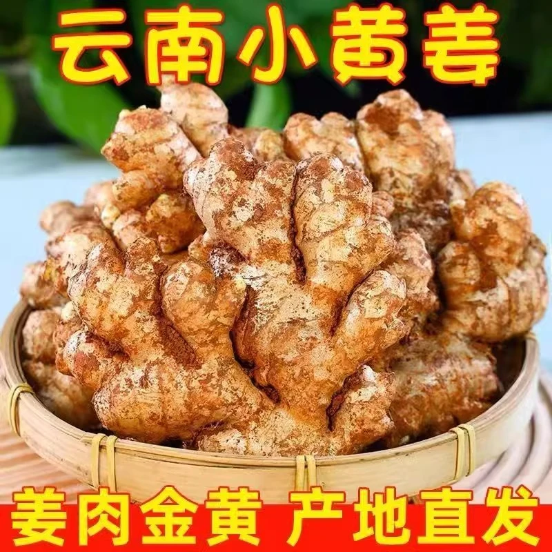 【3斤】云南高山小黄姜新姜现挖带泥发货味浓辛辣