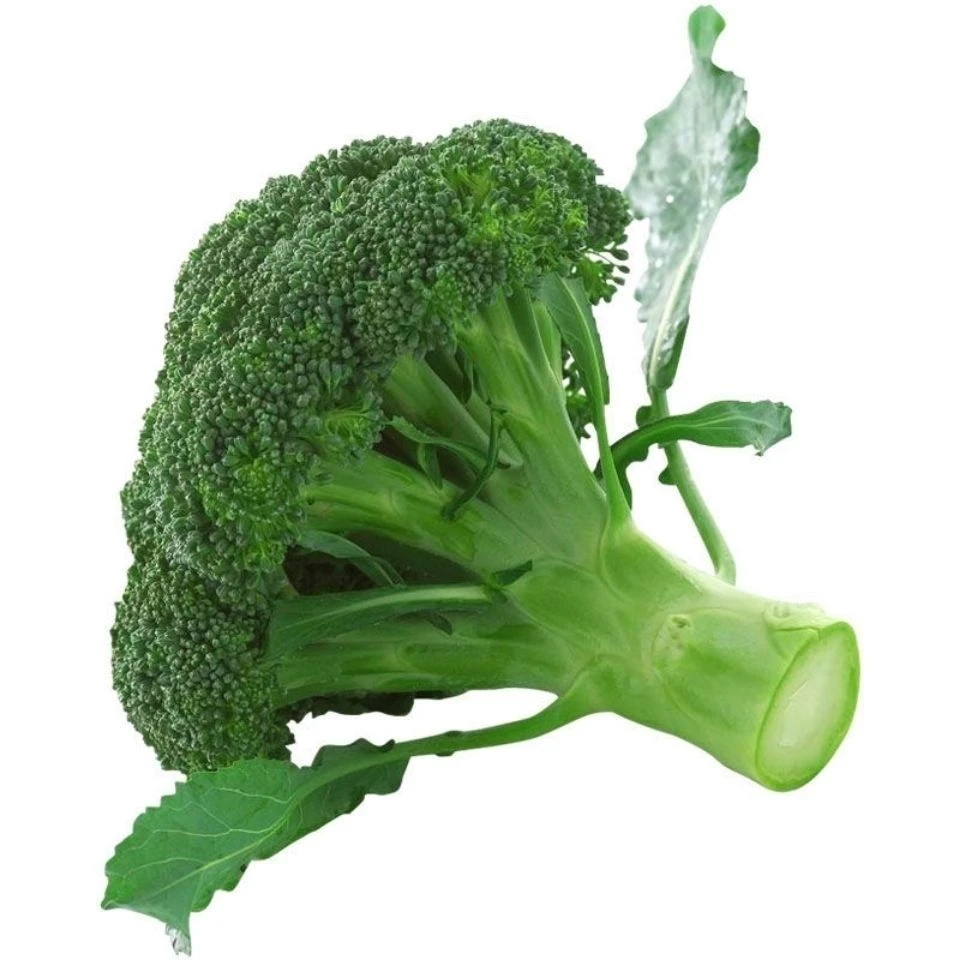 正宗优质澳洲青花菜西兰花种籽春秋季花椰菜蔬菜种子高产耐寒高产