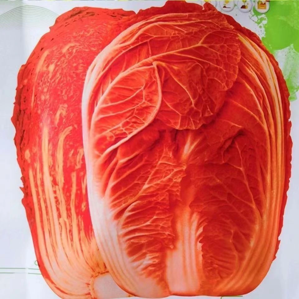 火凤凰种子红色大白菜种籽耐热寒高产蔬菜种籽彩色橘阳台