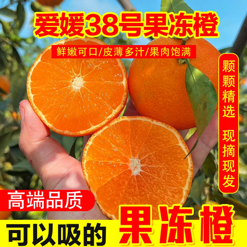 【高端爱媛38号】四川正宗爱媛果冻橙新鲜水果当季水果手剥橙整箱