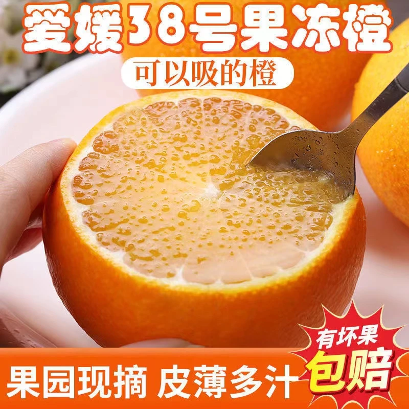 【莱莱】四川爱媛38号果冻橙现摘现发新鲜水果整箱包邮