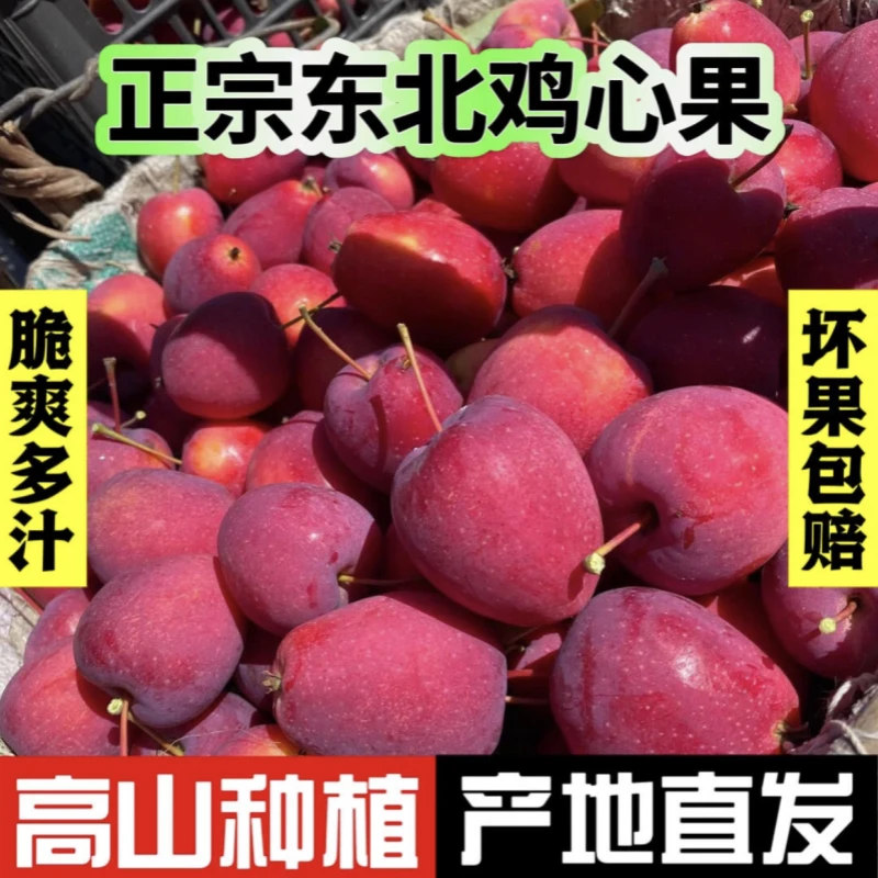 A正宗东北鸡心果山地小苹果 新鲜孕妇水果锦绣海棠 现摘现发