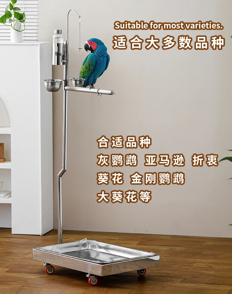 灰鹦鹉站架带盆磨爪7字型训练架灰机葵花金刚撞针饮水器