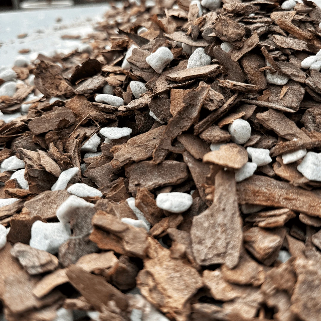 兰花植料型介质兰花专用剑兰春兰墨兰石斛兰等兰科生根快发芽快